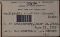 Image Associated With the Occurence